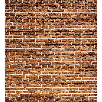 Dimex MS-3-0167 vliesová fototapeta na zeď Stará cihlová zeď rozměry 225 x 250 cm