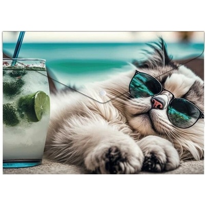 PANTA PLAST Obal na patent A5 "Chillout cat"
