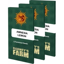 Barneys Farm Amnesia Lemon semena neobsahují THC 3 ks