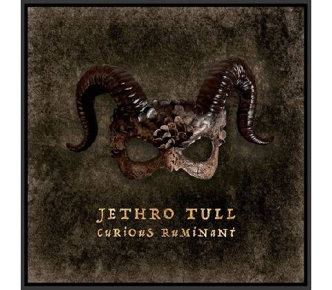 Jethro Tull Curious Ruminant 1 CD