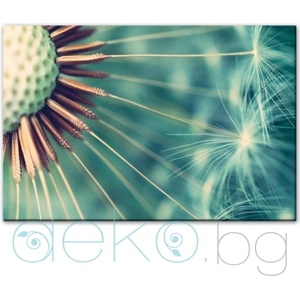  Абстрактно глухарче (30109)