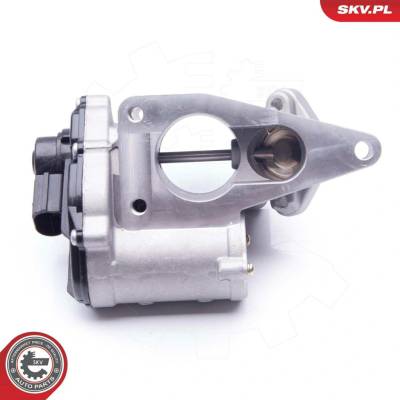 AGR-Ventil ESEN SKV 14SKV168