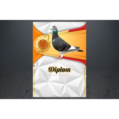 Diplom poštovní holub D172/diplom_A4_D172 – Zboží Dáma