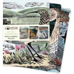Flame tree pub Angela Harding: Wildlife Set of 3 Standard Notebooks | Flame Tree Publishing