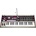 KORG MicroKORG MK1