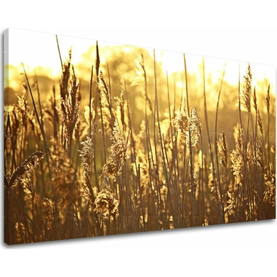 Obraz na stenu RASTLINY - 60x90 cm