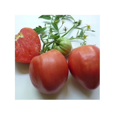 ИЗК Марица Домат Розово сърце БГ - нов сорт