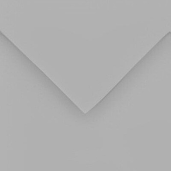 Canson Colorline 50x65 cm Pebble Grey 90 150 g Цветна хартия (C400110147)