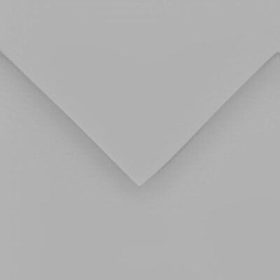 Canson Colorline 50x65 cm Pebble Grey 90 150 g Цветна хартия (C400110147)