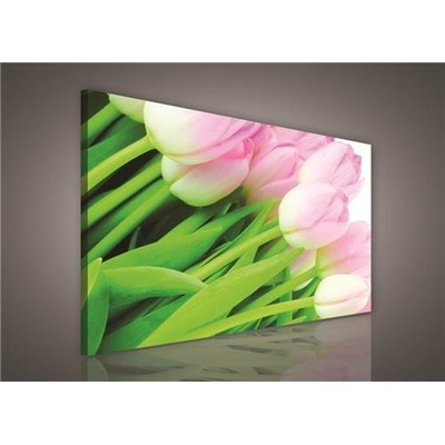 Obraz na plátně růžové tulipány 149O1, 100 x 75 cm, IMPOL TRADE