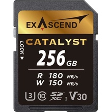 Exascend SDXC 256 GB 21707