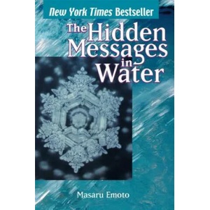 Hidden Messages In Water (ISBN: 9780743289801)