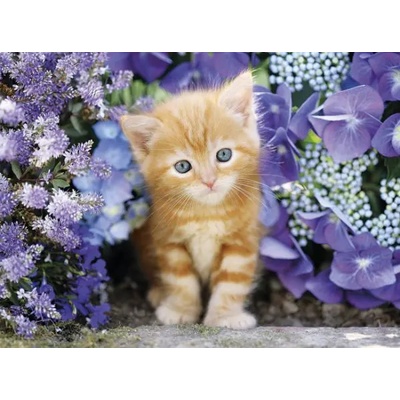 Clementoni - Puzzle Cat In Flowers - 500 piese