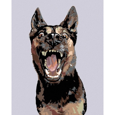 zuty Německý ovčák s otevřenou tlamou 40 x 50 cm vypnuté plátno na rám 8596530011019