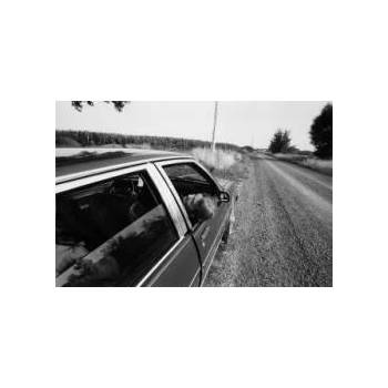 Image 1 of Mennonites | TOWELL LARRY