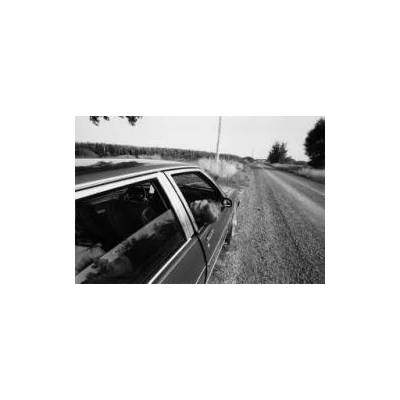 Mennonites | TOWELL LARRY