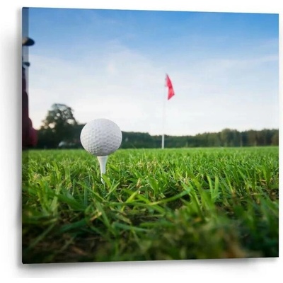 Sablio Obraz Golf - 50x50 cm