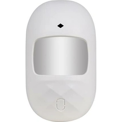 iGET SECURITY P1