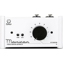 Palmer MONICON W