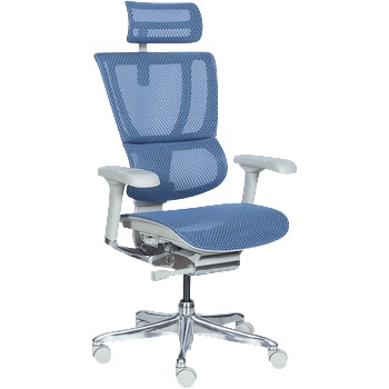 Ergohuman Ергономичен стол ergohuman ioo elite 2 - сива рамка - син