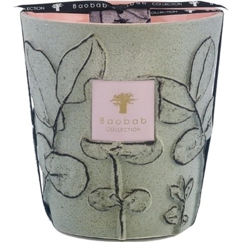 Baobab Collection Folia Maquis Ароматна свещ, 16 см (MAX16FMAQ)