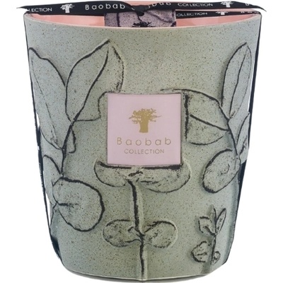 Baobab Collection Folia Maquis Ароматна свещ, 16 см (MAX16FMAQ)