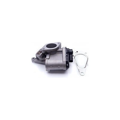 SKV EGR Ventil RENAULT Laguna II Megane II Scenic II 1.9 dCi - typ2
