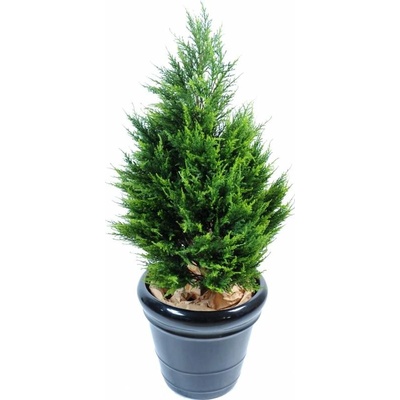 Umelý strom Cyprus Juniperus, 105cm