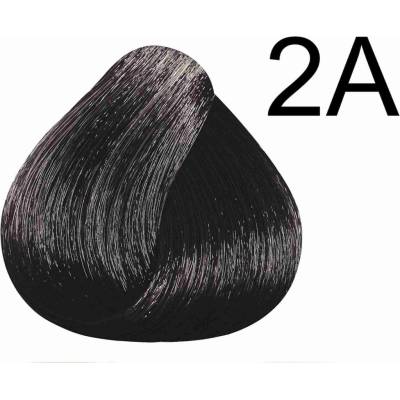 Color & Soin barva na vlasy 2A blankytně černá 135 ml