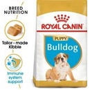 Royal Canin Bulldog Puppy pre šteňa buldoga 3 kg