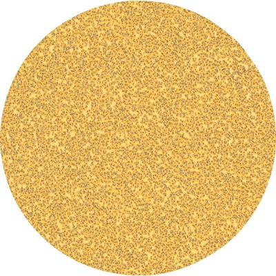 Bosch Brúsny papier EXPERT C470 bez otvorov pre uhlové brúsky a vŕtačky, 125 mm, zrnitosť 40, 50 ks 2608900951