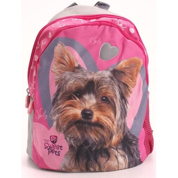 Benjamin Psík fialový