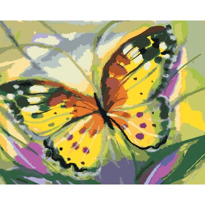 ZUTY Malování podle čísel MOTÝL ŽLUŤÁSEK Rozměr 40 x 50 cm Rámování bez rámu a bez vypnutí plátna