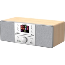 GoGEN IR 267BT-DAB