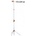 Hecht 00202