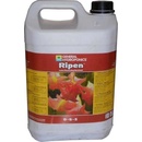 Hnojiva General Hydroponics Ripen 5 l