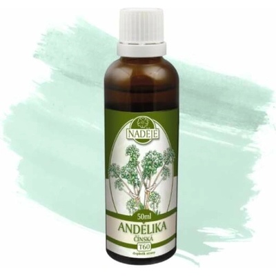 Naděje Archangelika čínska tinktúra z bylín T60 50 ml