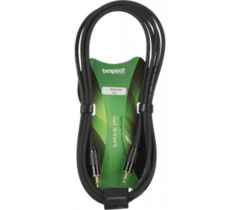 Bespeco EA2MJ300