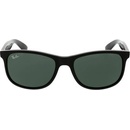 Ray-Ban RB4202 6069 71