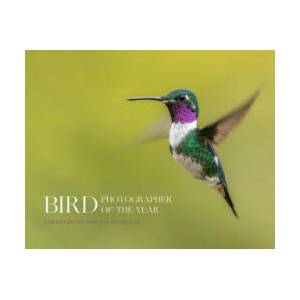 Bird Photographer of the Year (2023)