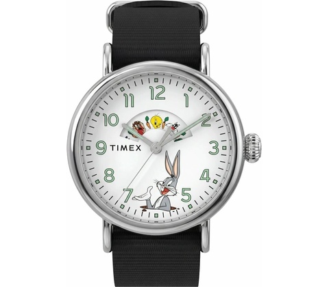 Timex TW2Y99100QY
