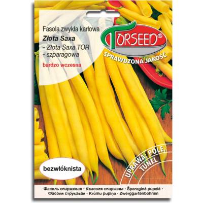 Zlatá špargľová fazuľa Saxa Semená