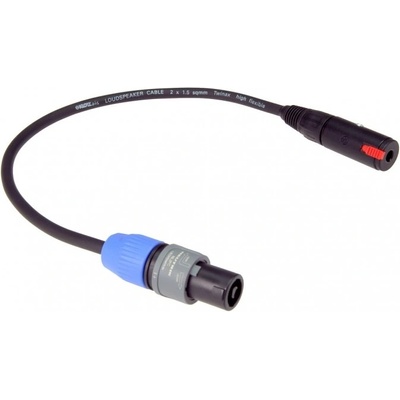Klotz SCASP030