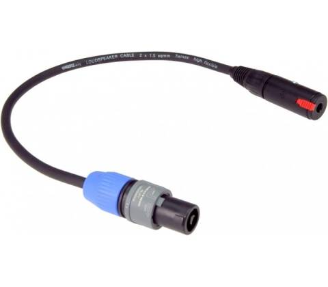 Klotz SCASP030