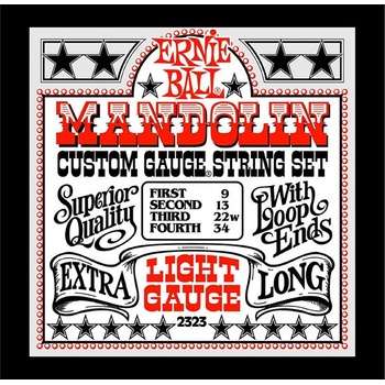 Ernie Ball 2323