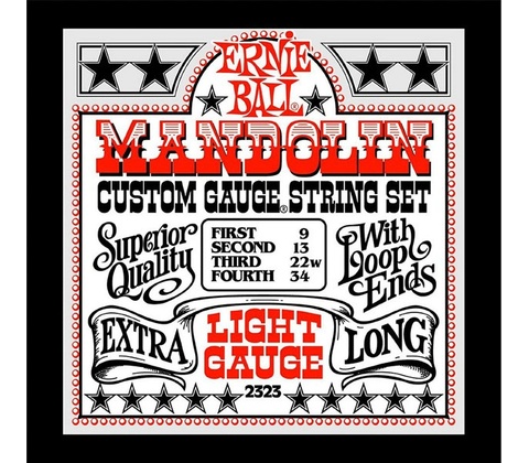 Ernie Ball 2323