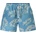 North Sails Мъжки бански North Sails, S, Синьо (673751000_AZC035)