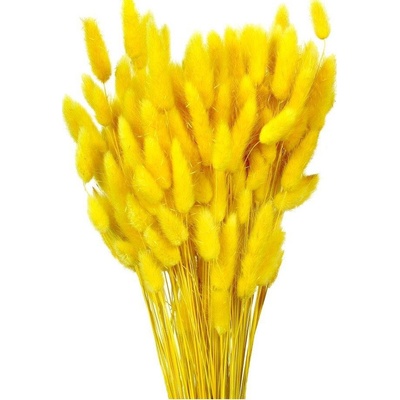 Sušený lagurus žlutý 80 g