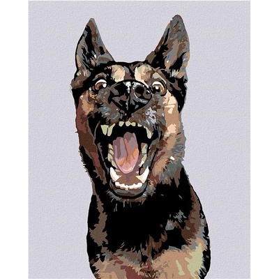 zuty Malování podle čísel německý ovčák s otevřenou tlamou 40 x 50 cm vypnuté plátno na rám