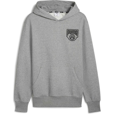 Puma Posterize Hoodie sivá